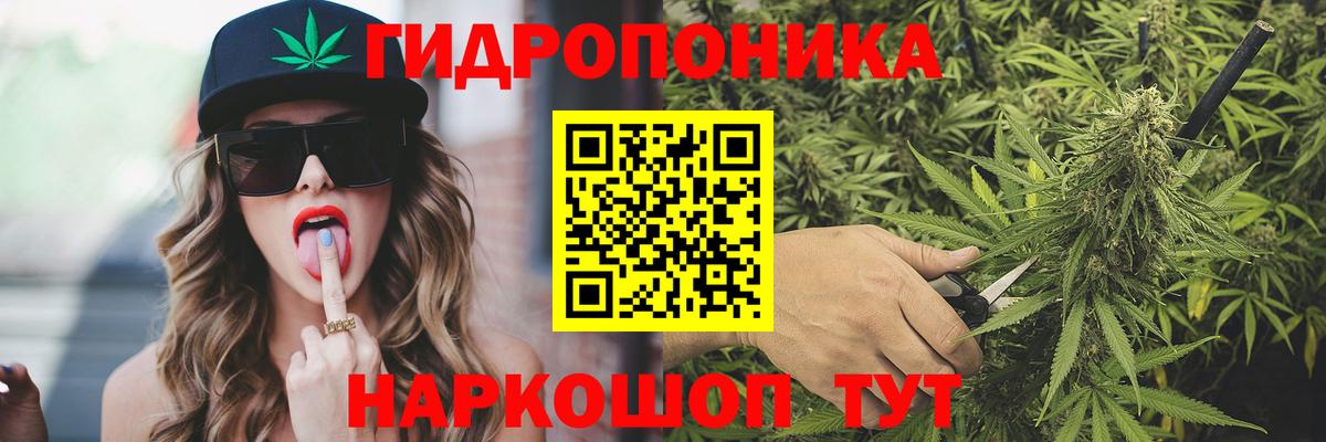 Каннабис планчик  Вход с VPN  Балтийск  Марихуана план  Конопля SATIVA & INDICA 